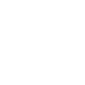 Alternate Text